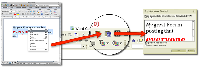 Copy from your clipboard to CLEW using the Copy from Word icon and editor