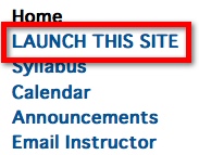 Launch This Site link