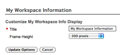 My Workspace Information Options
