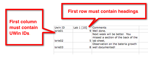 Feedback Spreadsheet example
