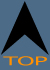 top of page button