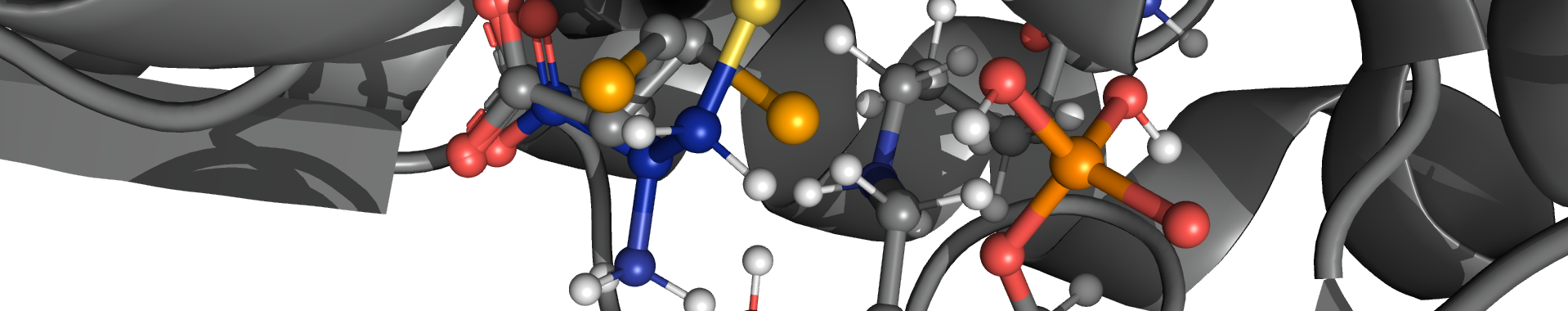 An image of the active site in a protien.