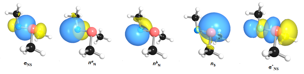 Figure 3: A 3D model of covalently cross-linked collagen IV network