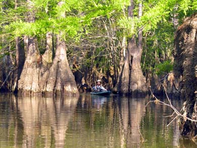 Choctawhatchee River - Photo by Paul Mennill