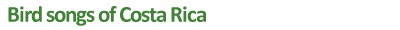 Bird Songs of Costa Rica