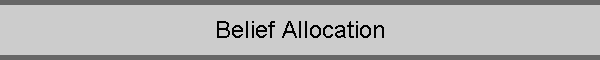 Belief Allocation