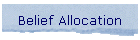 Belief Allocation