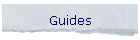 Guides