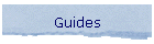 Guides