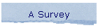 A Survey