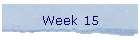 Week 15