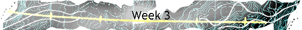 Week 3
