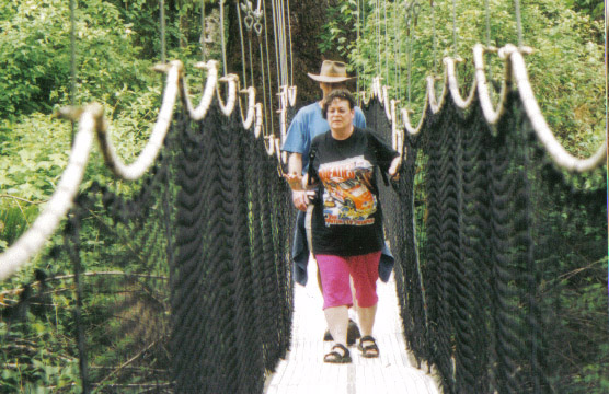 Suspension bridge