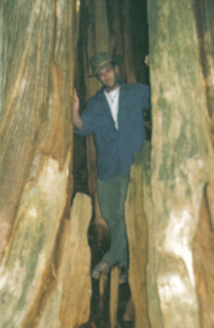 James in a tree