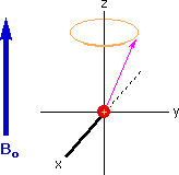 The Arrow of an Nucleus