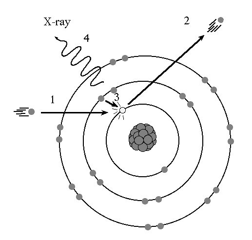 xray%20kshell.gif