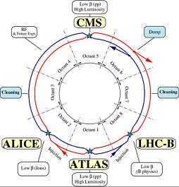 Schematic of the LHC