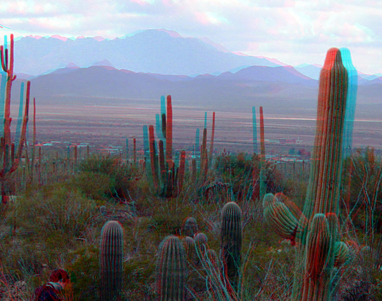 [Anaglyph mimage of Saguaro National Park at dusk. The image has two identical sub images; one red and one blue of the same scene.]