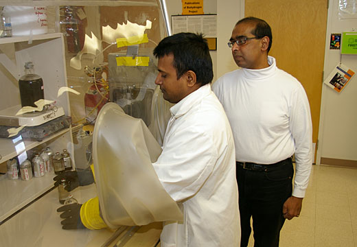 Jerald Lalman, right, watches as Subbarao Chaganti prepareing sugar solutions that will be converted into hydrogen